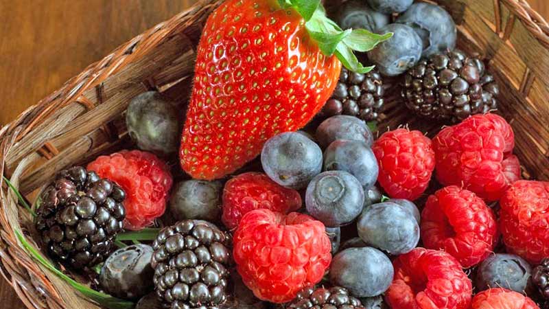 Aneberries evalúa de la internacionalización de berries mexicanos