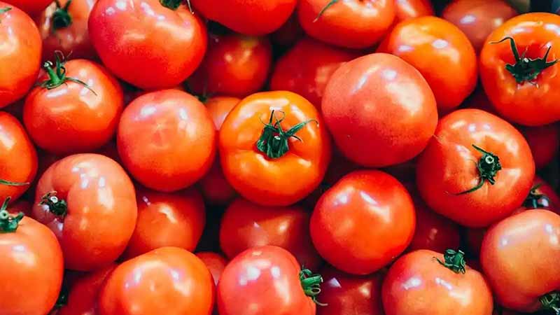 Ventas de tomates a EU aceleran pese a restricciones