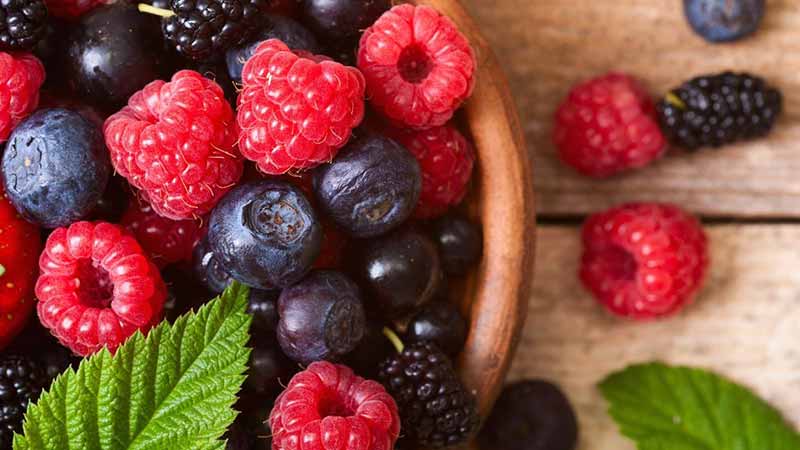 Alcanza exportación de berries los cuatro mil 700 millones de dólares