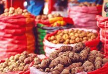 México ya es el primer mercado de la papa de EU México ya es el primer mercado de la papa de EU