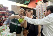 Primeras uvas chilenas llegan a México bajo modelo System Approach Primeras uvas chilenas llegan a México bajo modelo System Approach